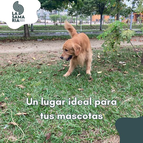 Snapinsta.app_428645932_367969746080443_42009288535351837_n_1080