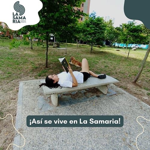 Snapinsta.app_429764887_367969532747131_5719286456450347961_n_1080 (1)