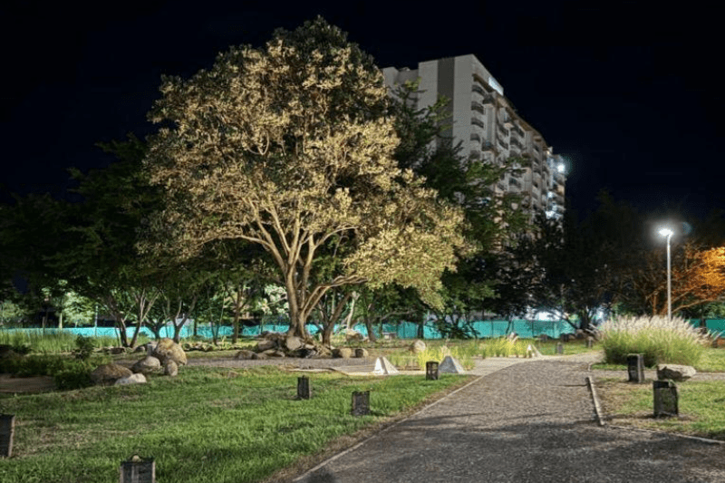 parque ronda (2)